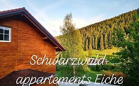 Black Forest Apartements by Hotel Grüner Baum Feldberg